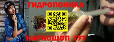 СК Краснознаменск