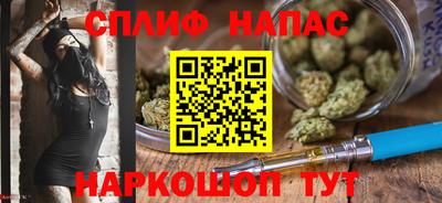 СК Краснознаменск