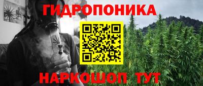 СК Краснознаменск